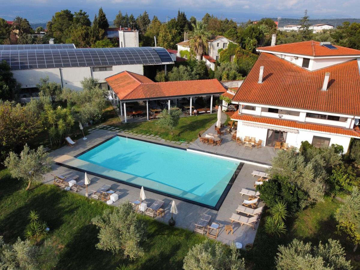 Agriturismo Costantino Maida Exterior photo